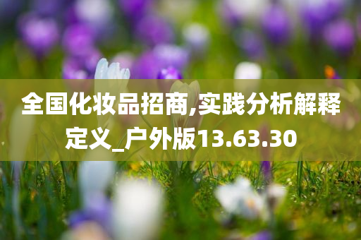 全国化妆品招商,实践分析解释定义_户外版13.63.30