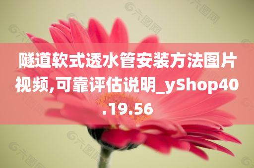 隧道软式透水管安装方法图片视频,可靠评估说明_yShop40.19.56