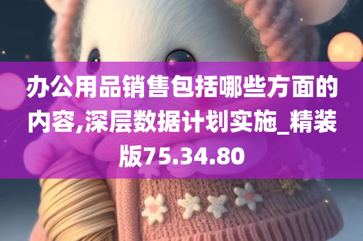 办公用品销售包括哪些方面的内容,深层数据计划实施_精装版75.34.80