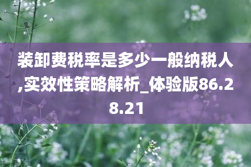 装卸费税率是多少一般纳税人,实效性策略解析_体验版86.28.21