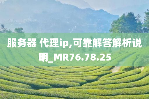 服务器 代理ip,可靠解答解析说明_MR76.78.25