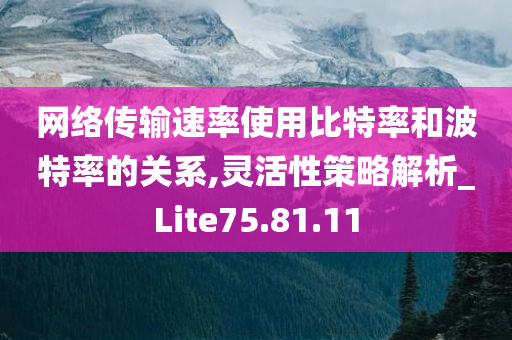 网络传输速率使用比特率和波特率的关系,灵活性策略解析_Lite75.81.11