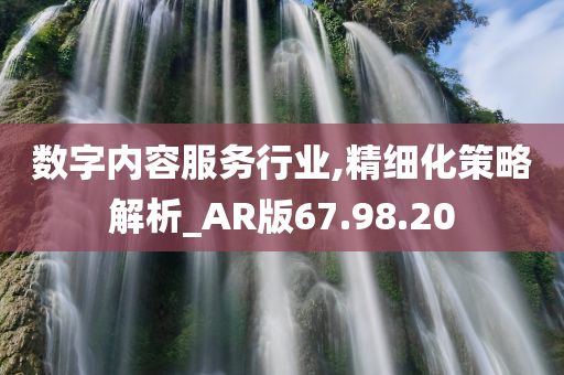 数字内容服务行业,精细化策略解析_AR版67.98.20