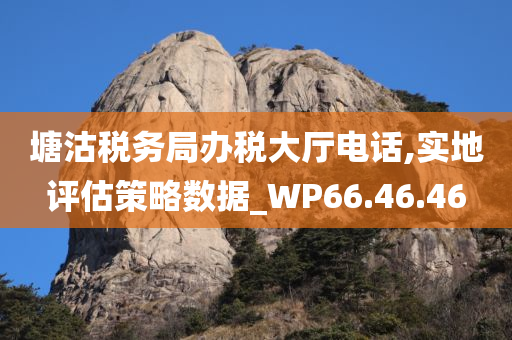 塘沽税务局办税大厅电话,实地评估策略数据_WP66.46.46