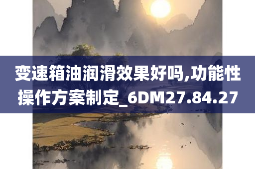 变速箱油润滑效果好吗,功能性操作方案制定_6DM27.84.27