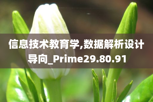 信息技术教育学,数据解析设计导向_Prime29.80.91