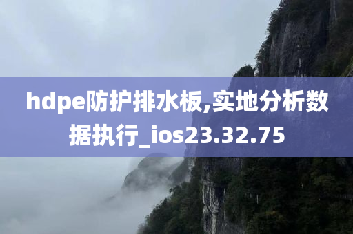 hdpe防护排水板,实地分析数据执行_ios23.32.75