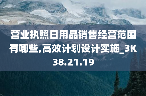 营业执照日用品销售经营范围有哪些,高效计划设计实施_3K38.21.19