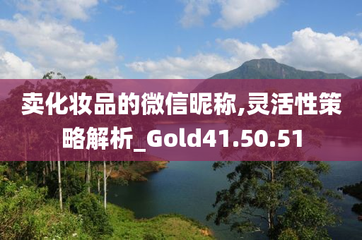 卖化妆品的微信昵称,灵活性策略解析_Gold41.50.51