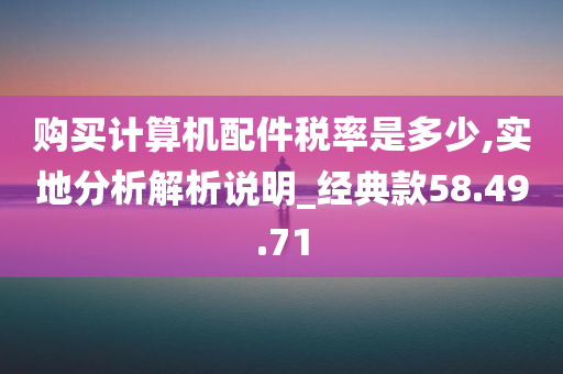 购买计算机配件税率是多少,实地分析解析说明_经典款58.49.71