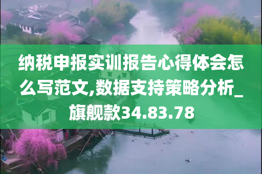 纳税申报实训报告心得体会怎么写范文,数据支持策略分析_旗舰款34.83.78