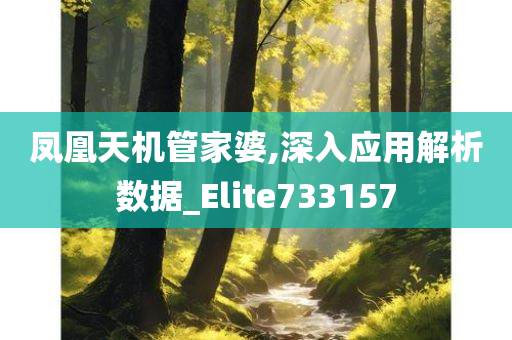 凤凰天机管家婆,深入应用解析数据_Elite733157