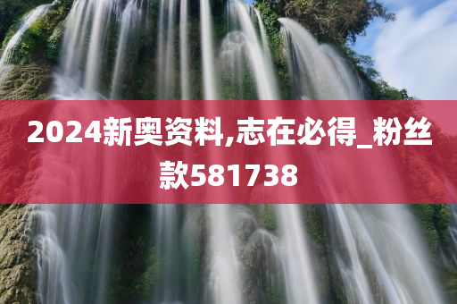 2024新奥资料,志在必得_粉丝款581738