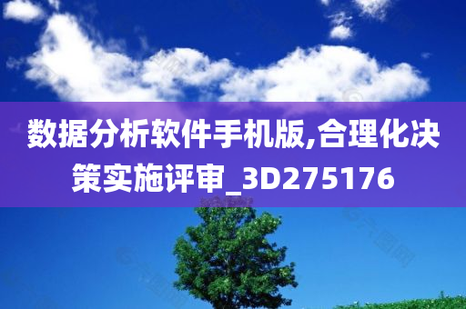 数据分析软件手机版,合理化决策实施评审_3D275176