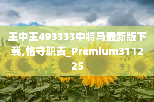 王中王493333中特马最新版下载,恪守职责_Premium311225