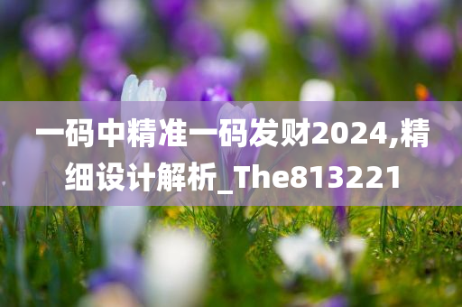 一码中精准一码发财2024,精细设计解析_The813221