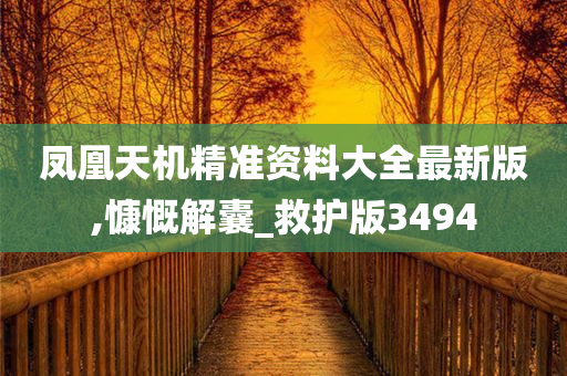 凤凰天机精准资料大全最新版,慷慨解囊_救护版3494