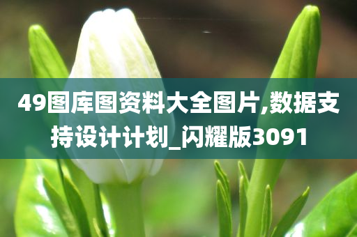 49图库图资料大全图片,数据支持设计计划_闪耀版3091