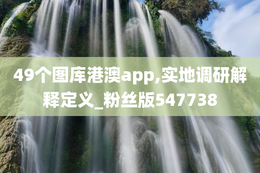 49个图库港澳app,实地调研解释定义_粉丝版547738