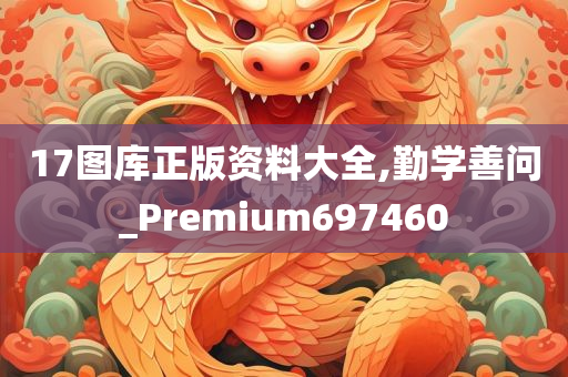 17图库正版资料大全,勤学善问_Premium697460