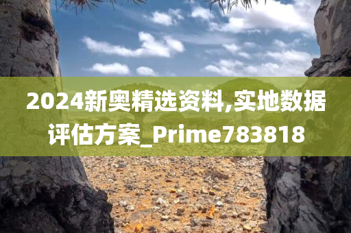 2024新奥精选资料,实地数据评估方案_Prime783818