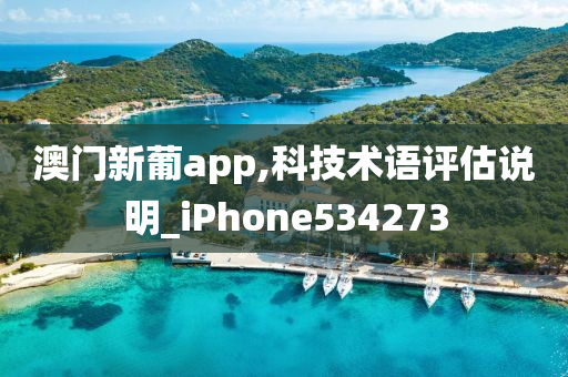 澳门新葡app,科技术语评估说明_iPhone534273