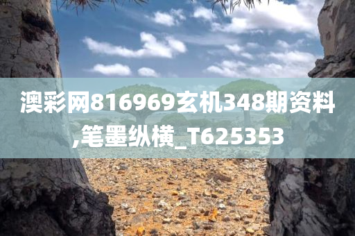 澳彩网816969玄机348期资料,笔墨纵横_T625353