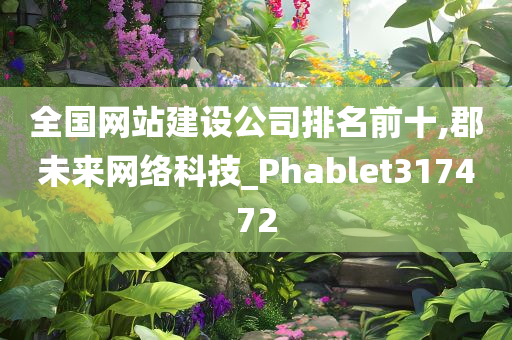 全国网站建设公司排名前十,郡未来网络科技_Phablet317472