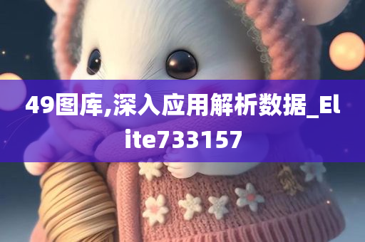 49图库,深入应用解析数据_Elite733157