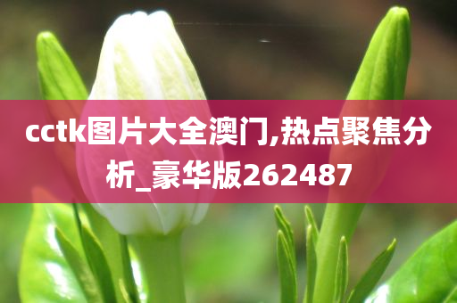 cctk图片大全澳门,热点聚焦分析_豪华版262487