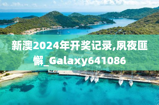 新澳2024年开奖记录,夙夜匪懈_Galaxy641086