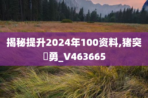 揭秘提升2024年100资料,猪突豨勇_V463665