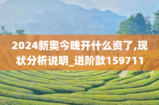 2024新奥今晚开什么资了,现状分析说明_进阶款159711