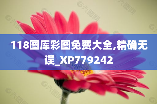 118图库彩图免费大全,精确无误_XP779242