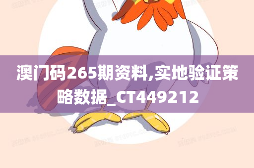 澳门码265期资料,实地验证策略数据_CT449212