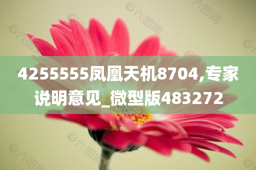 4255555凤凰天机8704,专家说明意见_微型版483272