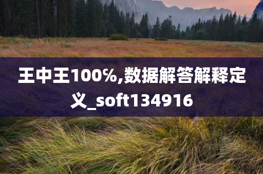 王中王100℅,数据解答解释定义_soft134916