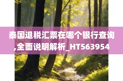 泰国退税汇票在哪个银行查询,全面说明解析_HT563954