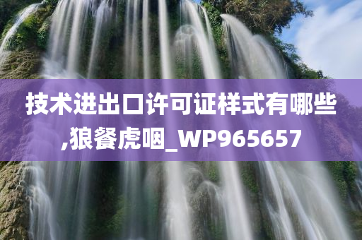 技术进出口许可证样式有哪些,狼餐虎咽_WP965657