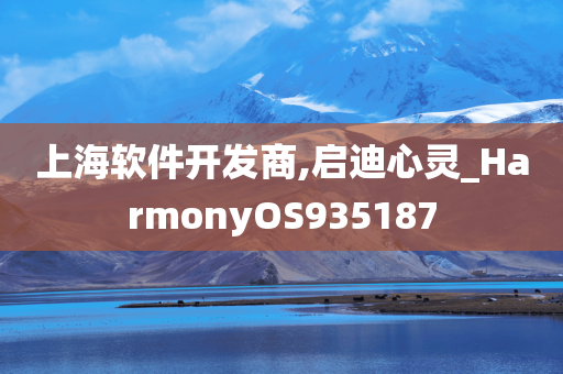 上海软件开发商,启迪心灵_HarmonyOS935187