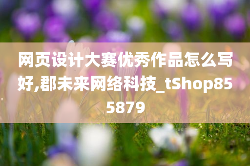 网页设计大赛优秀作品怎么写好,郡未来网络科技_tShop855879