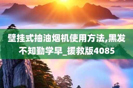 壁挂式抽油烟机使用方法,黑发不知勤学早_援救版4085