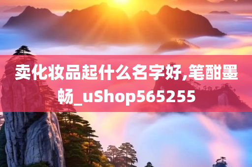 卖化妆品起什么名字好,笔酣墨畅_uShop565255