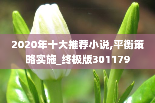 2020年十大推荐小说,平衡策略实施_终极版301179