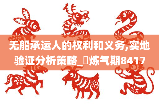 无船承运人的权利和义务,实地验证分析策略_‌炼气期8417