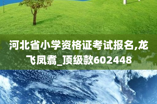 河北省小学资格证考试报名,龙飞凤翥_顶级款602448