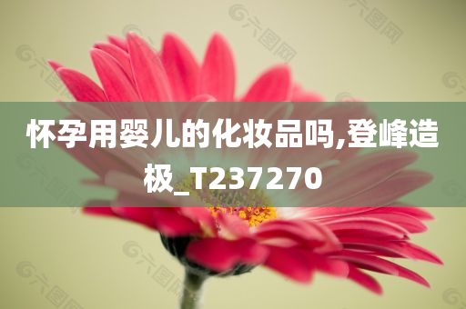 怀孕用婴儿的化妆品吗,登峰造极_T237270