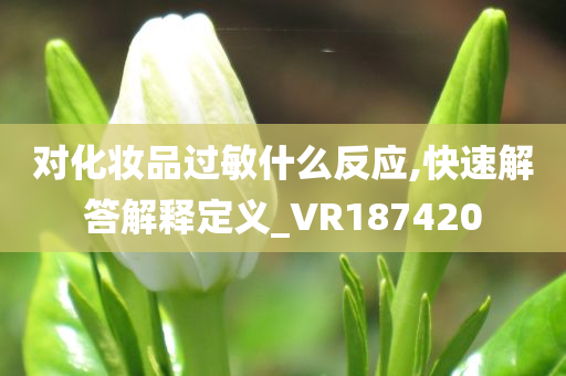 对化妆品过敏什么反应,快速解答解释定义_VR187420