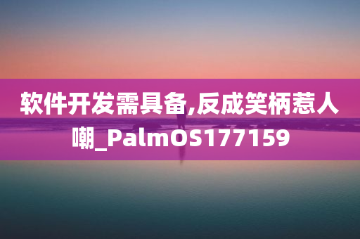 软件开发需具备,反成笑柄惹人嘲_PalmOS177159