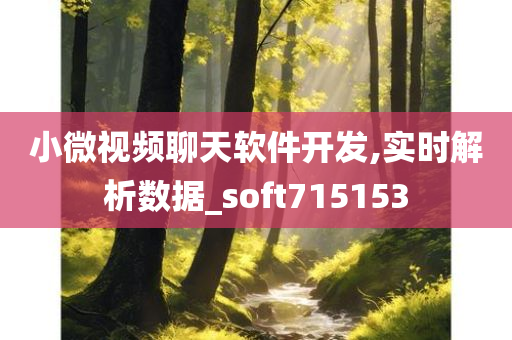 小微视频聊天软件开发,实时解析数据_soft715153